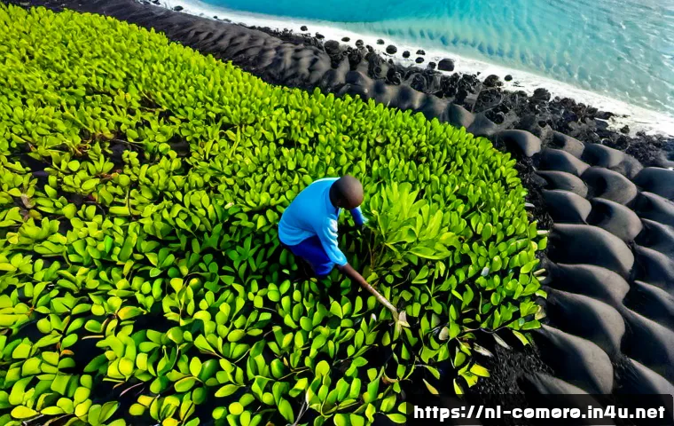 코모로 해안선 보존 프로젝트 - Photorealistic aerial view of a Comoros coastal conservation project, local environmental workers in...
