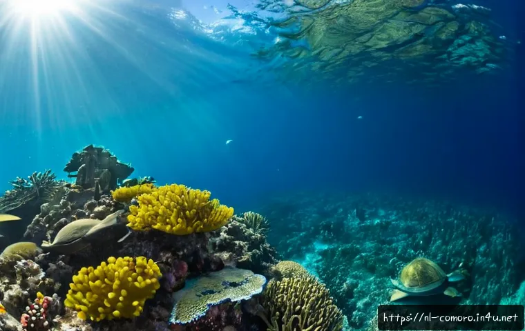 코모로 해양 생물 다양성 - Photorealistic wide-angle underwater reef scene in the clear turquoise waters around the Comoros Isl...